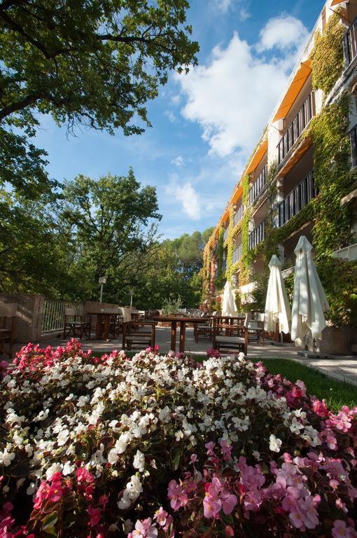 Villa Borghese, The Originals Relais Греу-ле-Бэн Экстерьер фото
